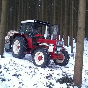 IHC im Wald