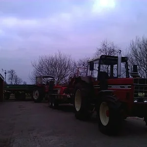 Wald 2012/2013