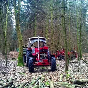 Wald 2012/2013