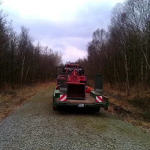 Wald 2012/2013