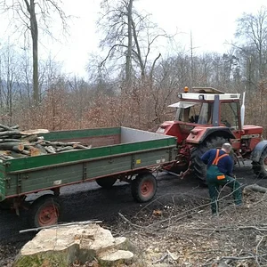 Holz machen 2013