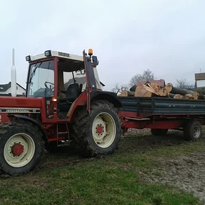 holz machen 2013 januar