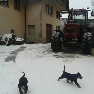 Christoph