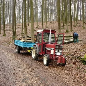 Matthias-IH353