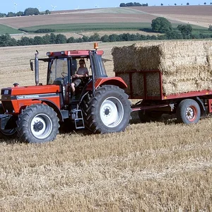 Martin p