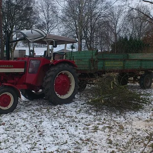 IHC 353
