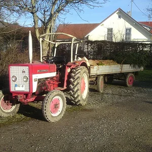 IHC 323