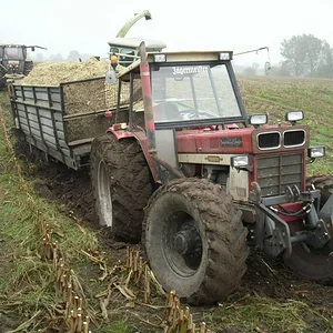 Wirklich im Feld
