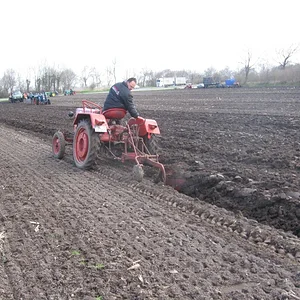 AG 323