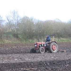 AG 323