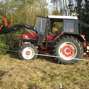 Baumschnitt
