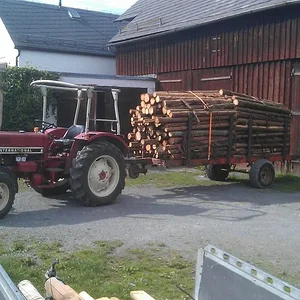 holz