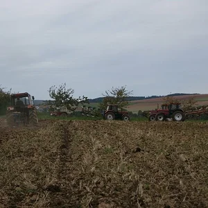 433-1455