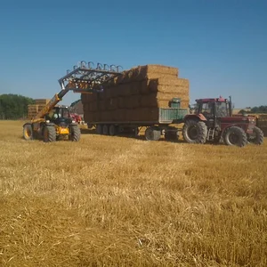 In der Champagne gesehn