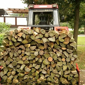 Bisschen Brennholz geholt