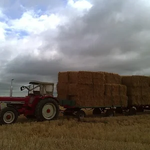 Stroh 2012