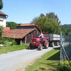 Case833a