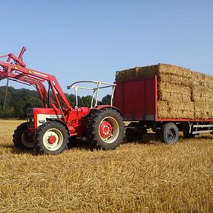 Benedikt