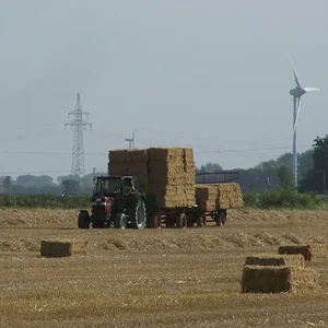 Stroh 2012