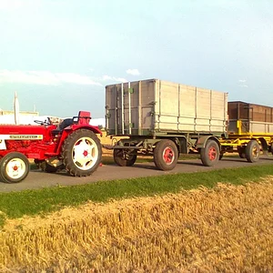 Dreschen 2012