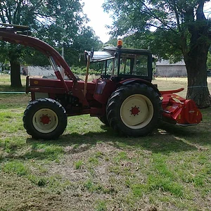 423 fp