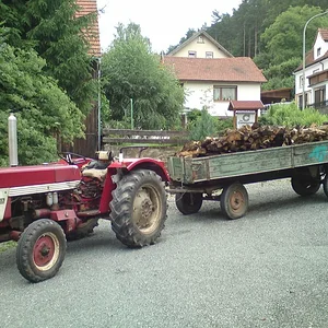 Max Grampp 353