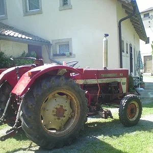 Max Grampp 353