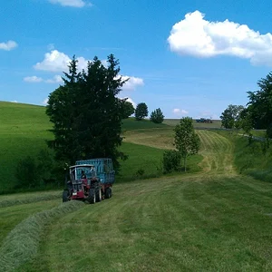 IHC 946 beim Heueinfahren