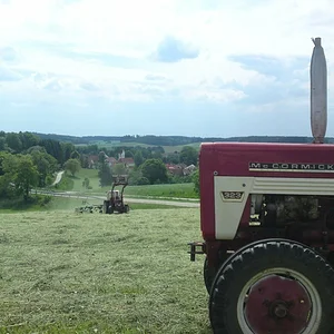 Mit Blick aufs Dorf