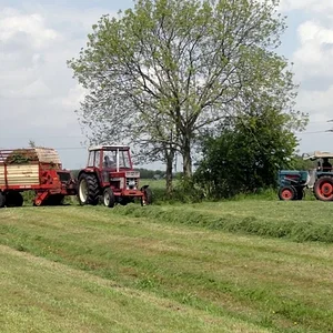 1. Schnitt 2012