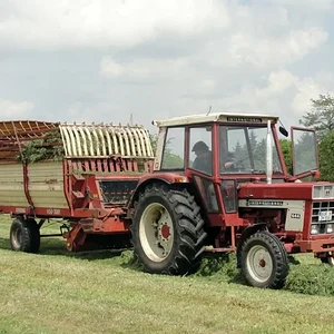 1. Schnitt 2012