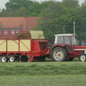 1. Schnitt 2012