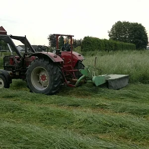 Mähen_2012