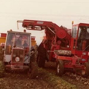 ih 1246
