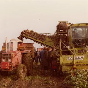 ih 1246