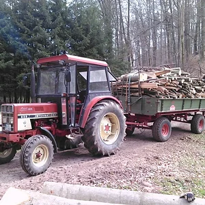 Holz holen 2012