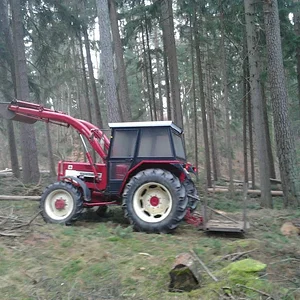 IHC 654 im wald