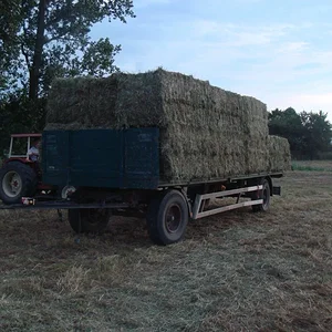 KR833