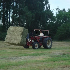 KR833