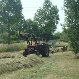 KR833