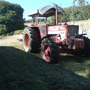 Christopher433