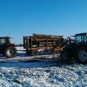 1255 beim langholzfahren