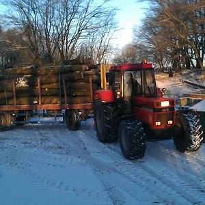 1255 beim langholzfahren