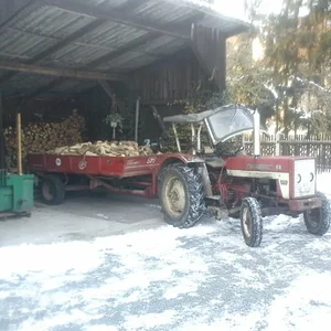 Max Grampp 353
