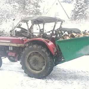 Max Grampp 353
