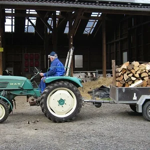 Holz holen