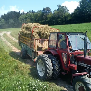 letzte Fuhre Stroh