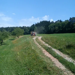 letzte Fuhre Stroh