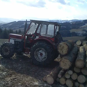 533A beim Holzmachen