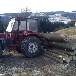 533A beim Holzmachen